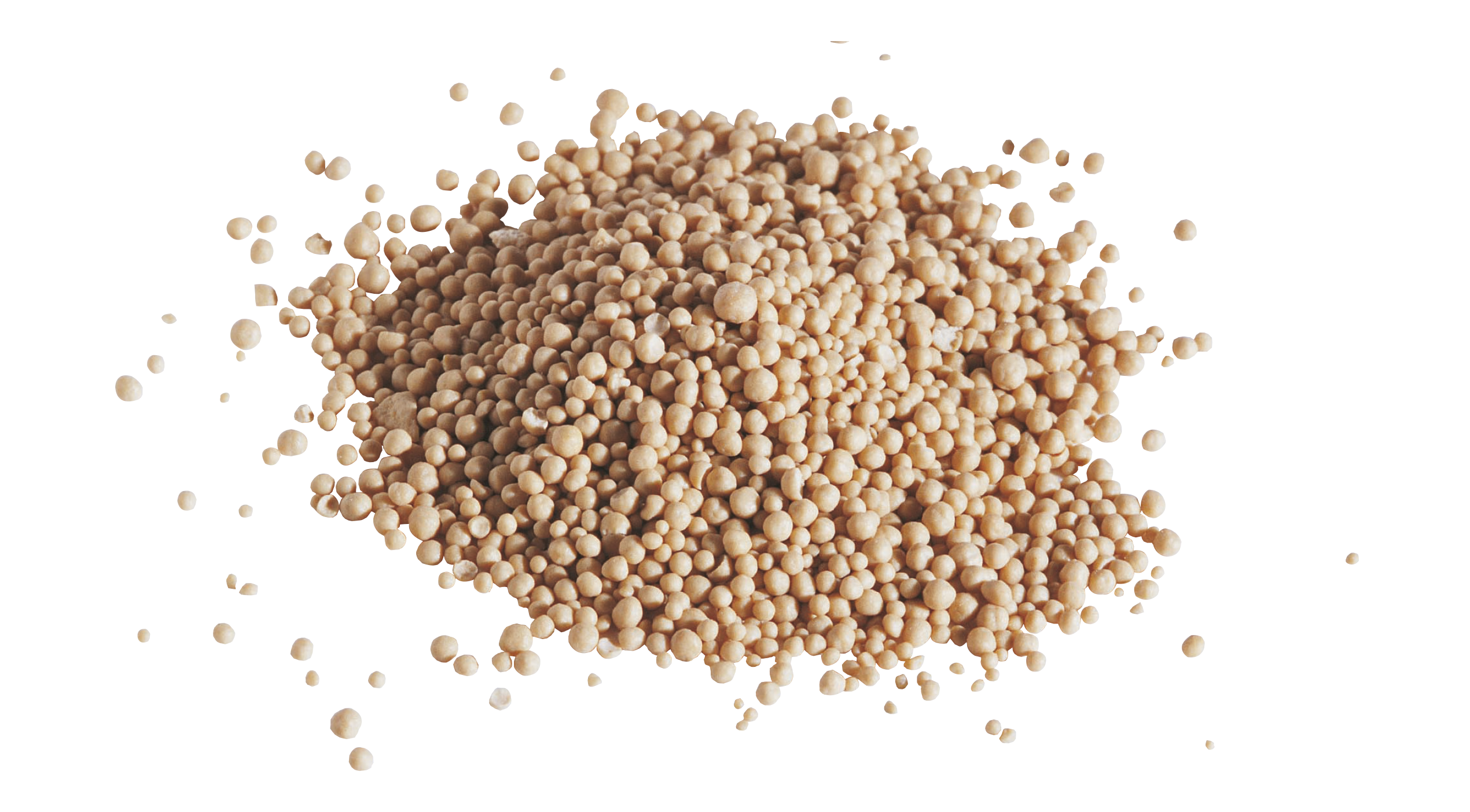 Not all yeasts are created equal...