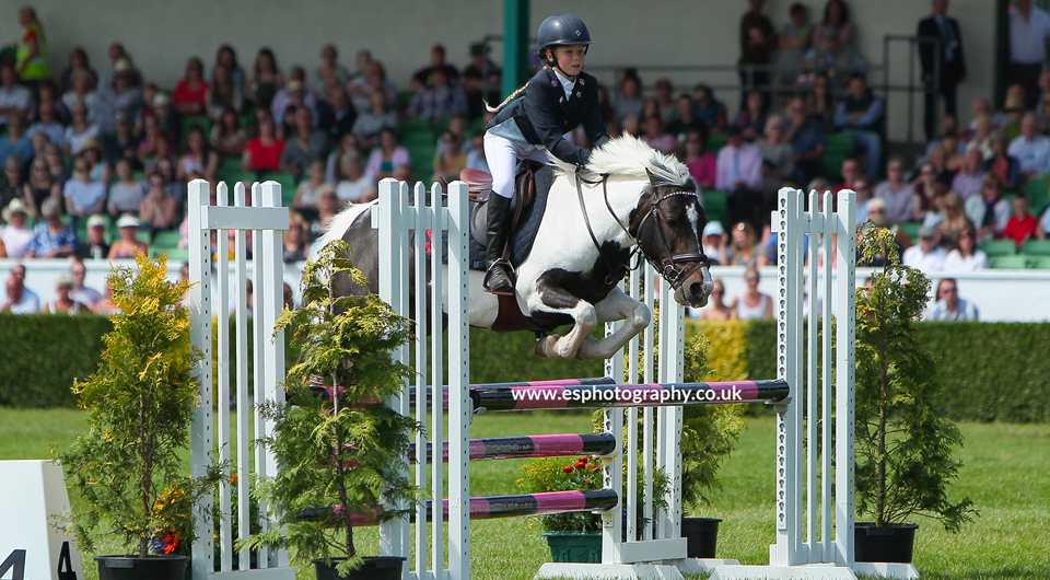 Actisaf® supports gut health in show jumping ponies