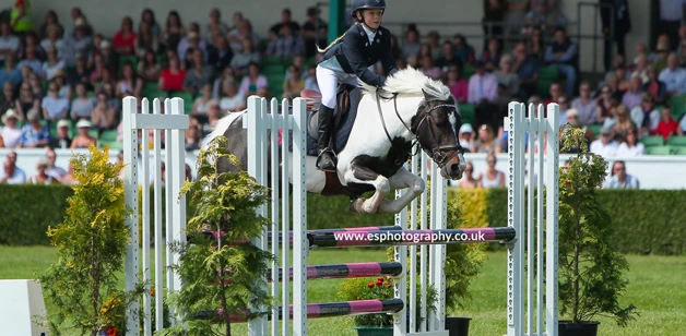 Actisaf® supports gut health in show jumping ponies