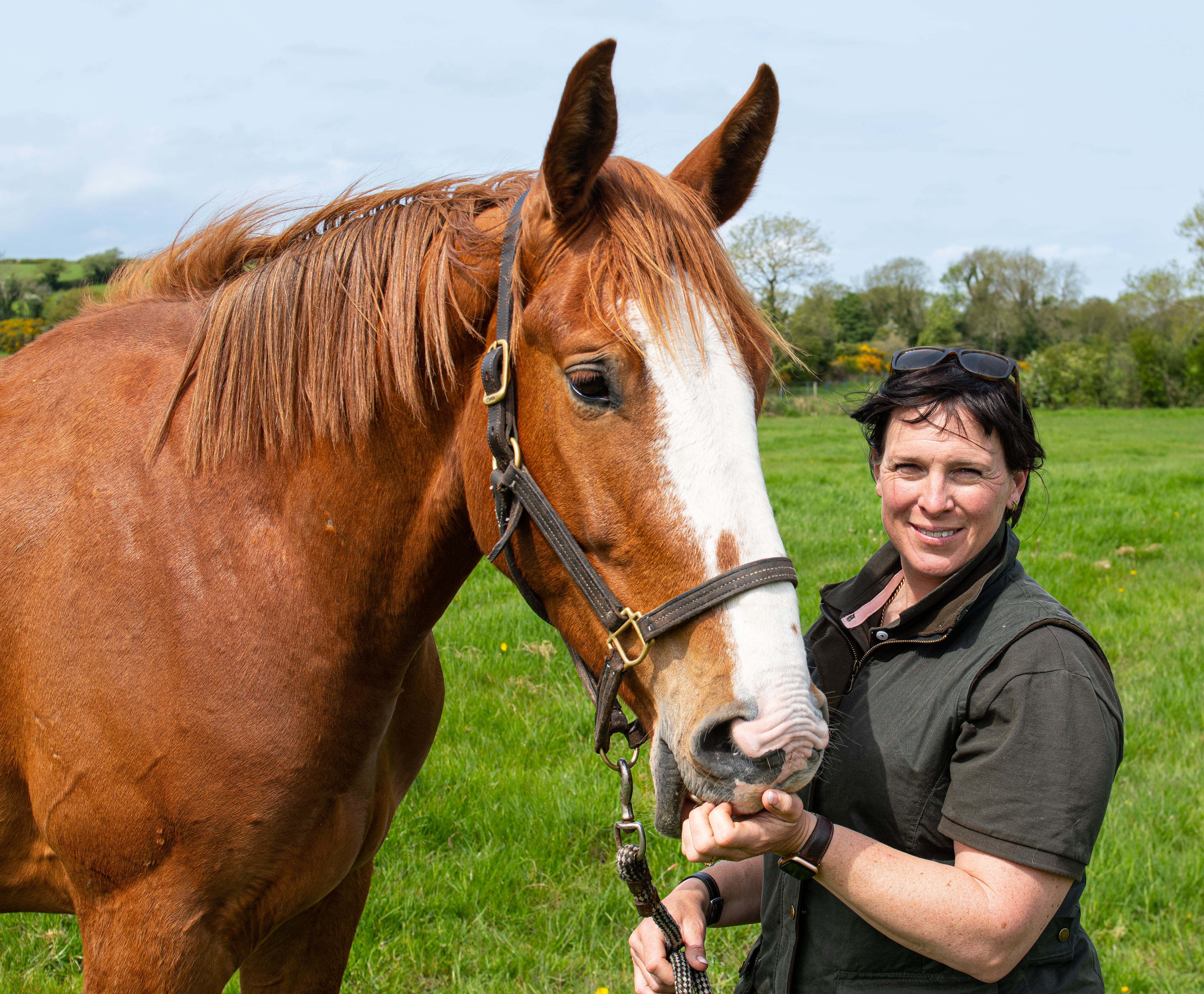 Victoria Teuton & Shannaghmore Horses