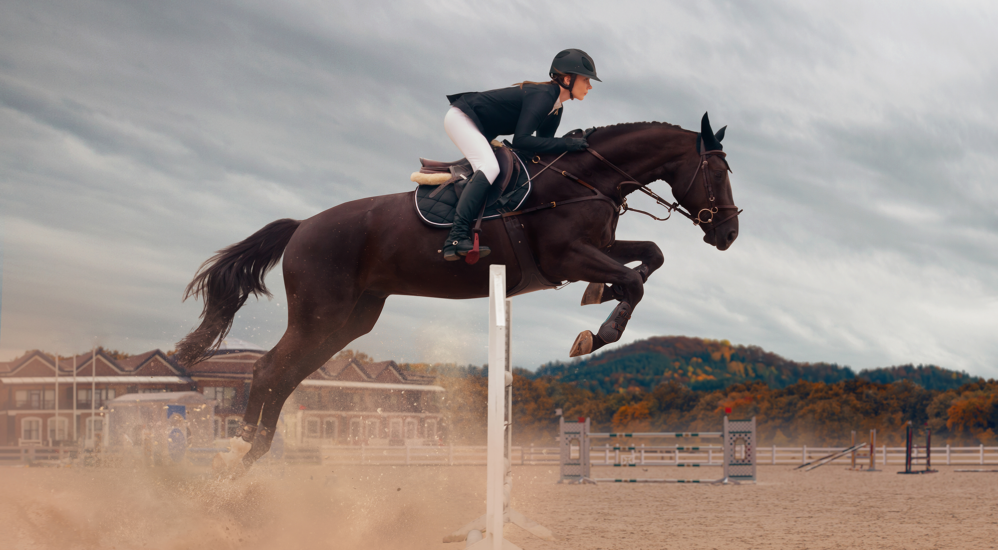 Feeding sport horses for a more stable microbiome 