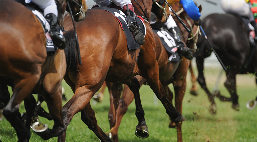 The gut-brain axis: a new frontier in performance and behaviour