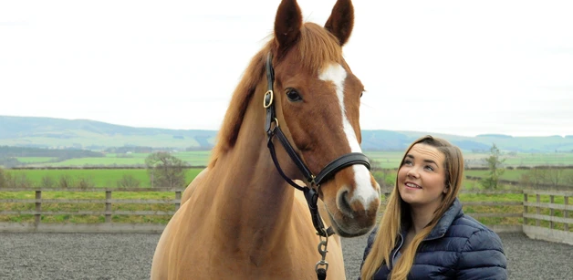 Showjumper Finds New Gear with Actisaf®