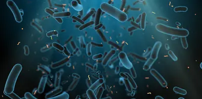 The equine gut-brain axis: the link between mind and microbes